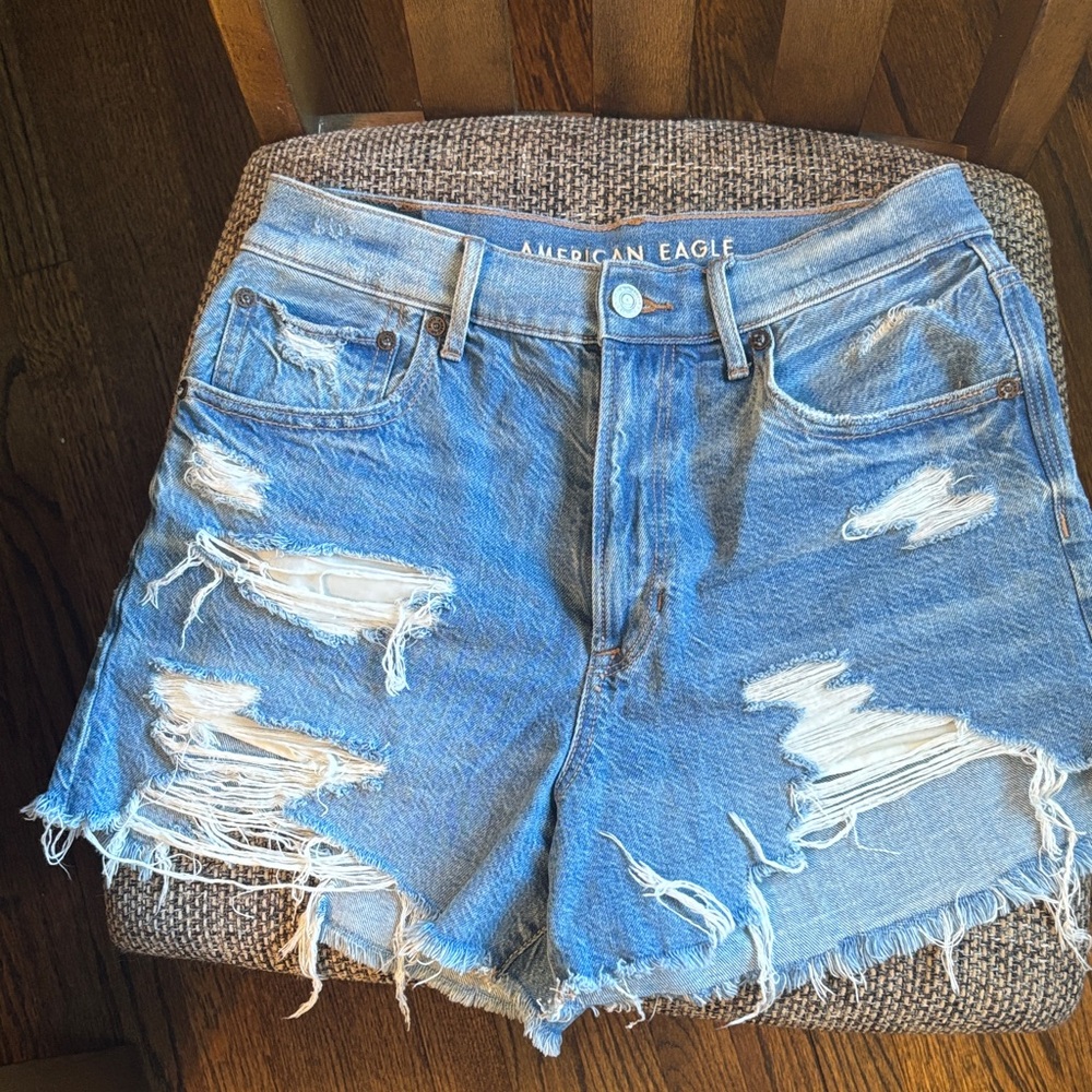 American Eagle Outfitters 90s Boyfriend Short WORN ONCE